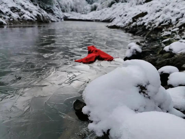 冰雪奇缘！快来古蔺捕捉阳光下的雪封仙境！(图13)