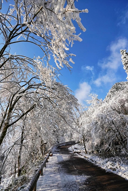 冰雪奇缘！快来古蔺捕捉阳光下的雪封仙境！(图14)