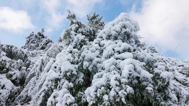 冰雪奇缘！快来古蔺捕捉阳光下的雪封仙境！(图17)