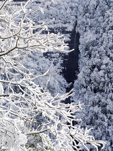 冰雪奇缘！快来古蔺捕捉阳光下的雪封仙境！(图20)