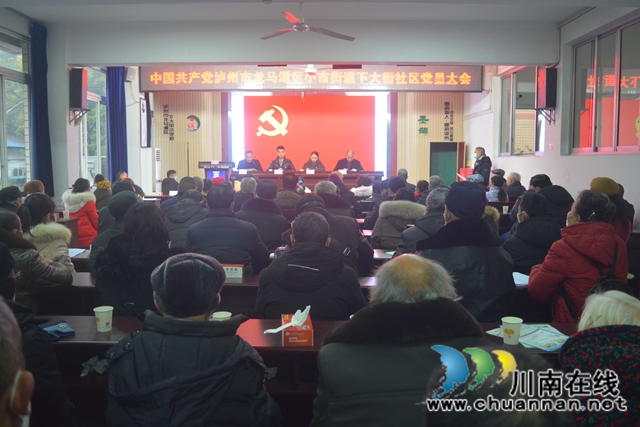 龙马潭区小市街道召开党委换届选举党员大会(图3)