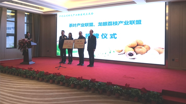 泸州永川特色产业（茶叶、龙眼荔枝）联盟成立(图2)