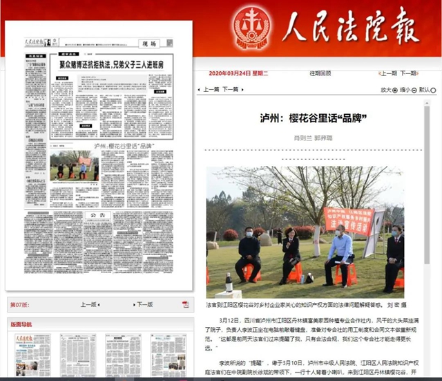 不平凡的2020，致敬每一位努力的江阳法院人！(图15)