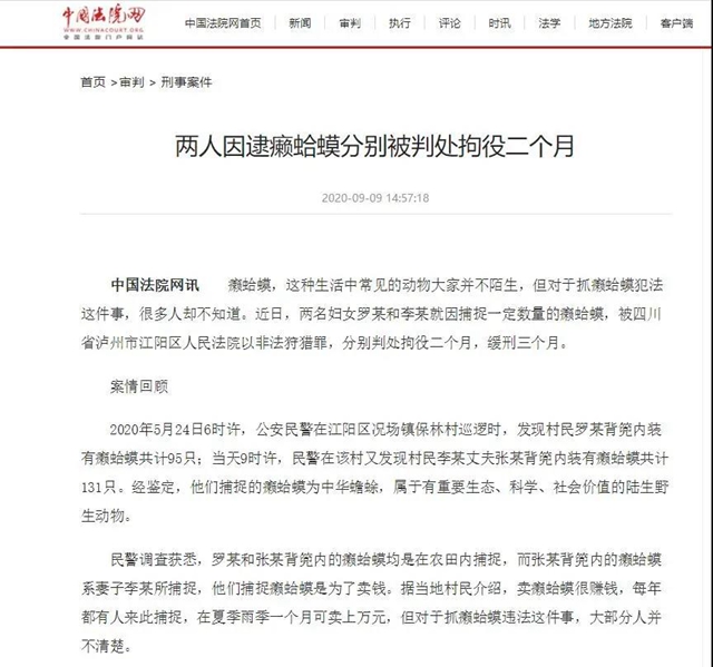不平凡的2020，致敬每一位努力的江阳法院人！(图22)
