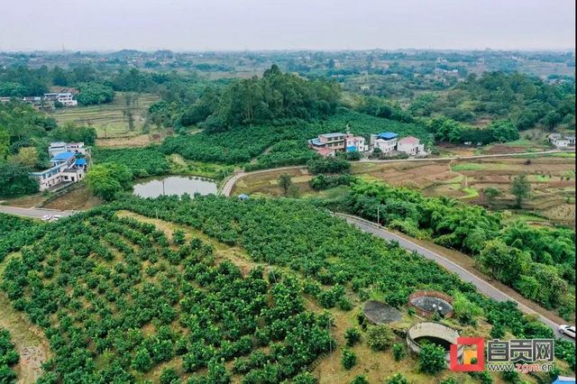 【盘点】自贡日报社评出2020自贡十大新闻(图3) 【盘点】自贡日报社评出2020自贡十大新闻(图3)