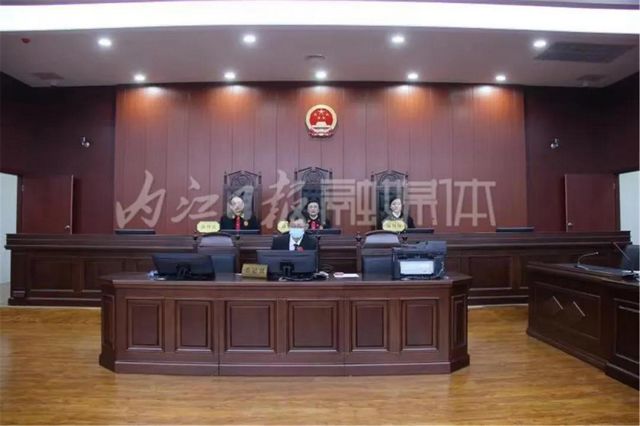 重拳出击！内江一恶势力犯罪集团覆灭(图1)