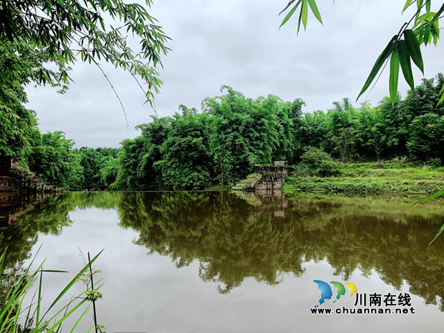宜宾南溪区长兴镇东升村积极创建竹生态旅游特色村(图1)