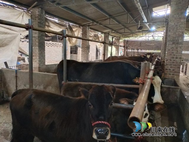 宜宾南溪区长兴镇红德村:村干部发动贫困户致富(图1) 宜宾南溪区长兴镇红德村:村干部发动贫困户致富(图1)