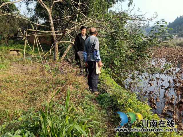 内江经开区靖民镇凉风社区开展护河、巡河行动(图2)