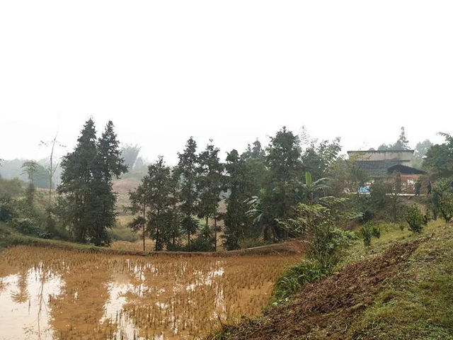 宜宾兴文石海要建通用机场?来听听专家组意见!(图2) 宜宾兴文石海要建通用机场?来听听专家组意见!(图2)