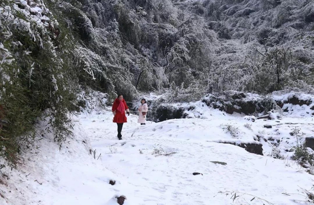 这些赏雪地点赶紧收藏！宜宾可能迎来新年第一场雪(图5)