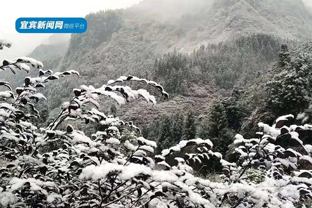 这些赏雪地点赶紧收藏！宜宾可能迎来新年第一场雪(图16)