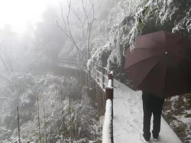 这些赏雪地点赶紧收藏！宜宾可能迎来新年第一场雪(图25)