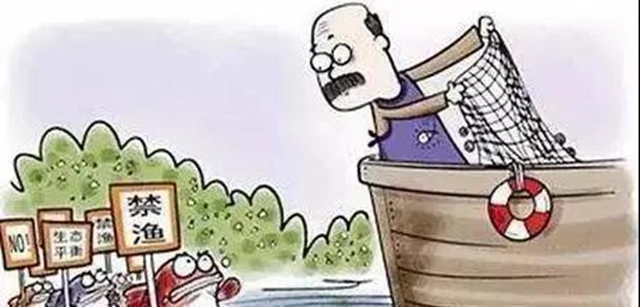 胆敢电鱼，把你们处“痛”！内江首例非法捕捞水产品案宣判(图1)