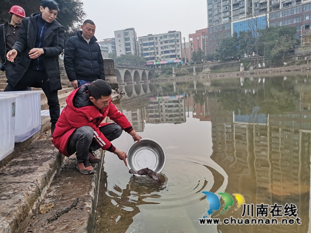 泸县首家娃娃鱼养殖专业户杨建章：养娃娃鱼，有比赚钱更美好的事！(图1)