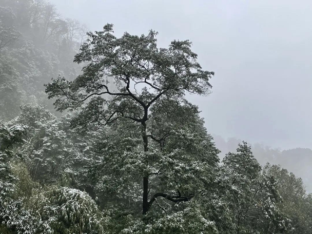 来方山，“雪”拼！(图2)