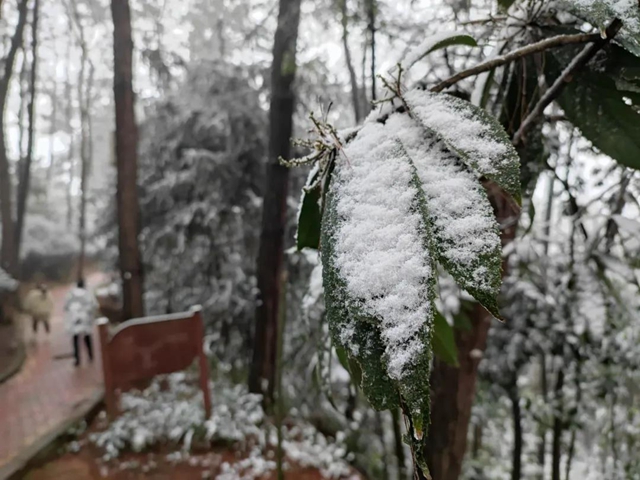 来方山，“雪”拼！(图9)