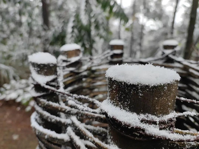 来方山，“雪”拼！(图10)