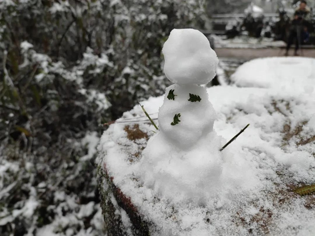 来方山，“雪”拼！(图11)