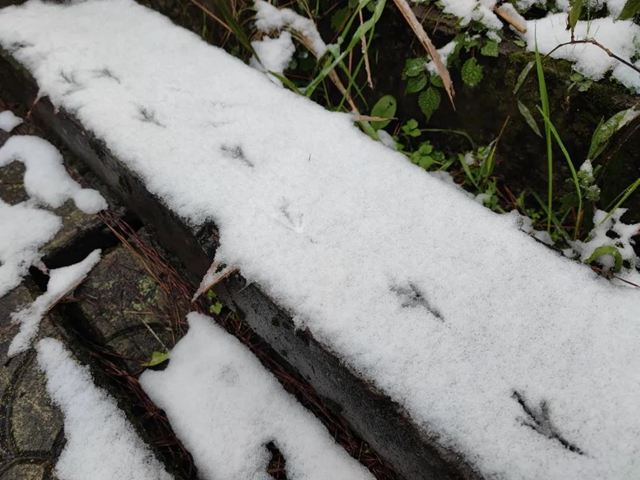 来方山，“雪”拼！(图13)