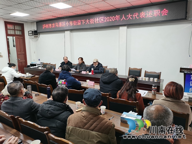 龙马潭区小市街道召开区人大代表向选民述职活动(图1)