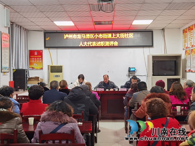 龙马潭区小市街道召开区人大代表向选民述职活动(图2)