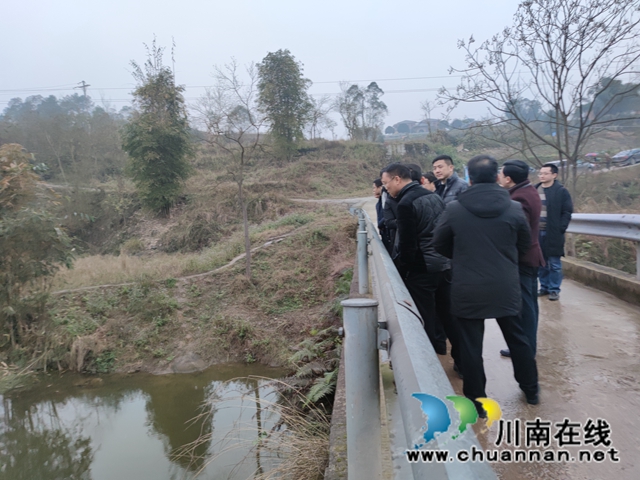 肖刚率队到泸县百和镇督导河长制工作(图3)