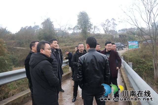 肖刚率队到泸县百和镇督导河长制工作(图1)