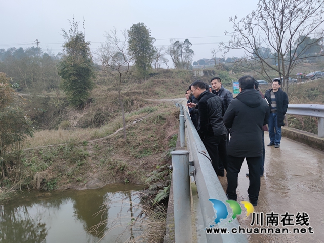 肖刚率队到泸县百和镇督导河长制工作(图2)
