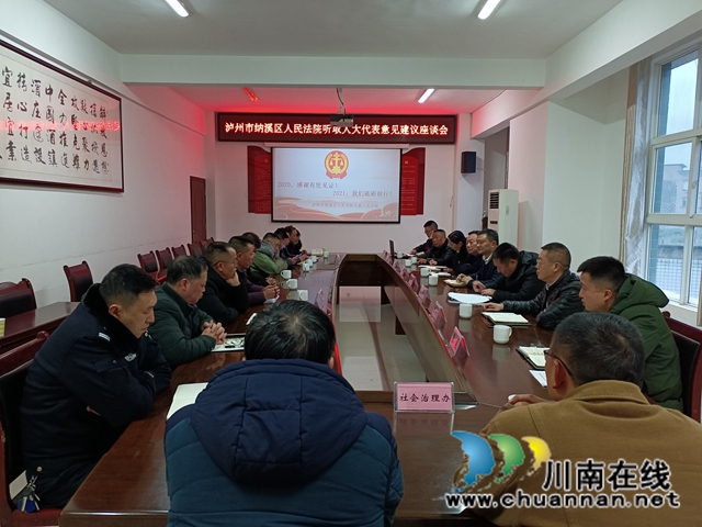 纳溪法院：人大代表为法庭工作建言献策(图2)