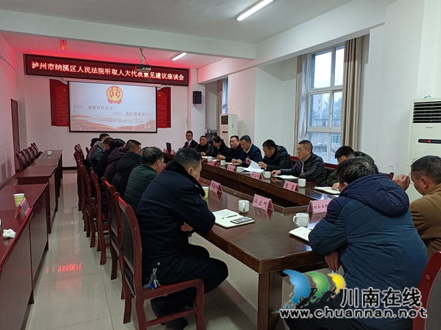 纳溪法院：人大代表为法庭工作建言献策(图1)