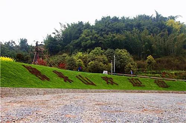 正在公示！宜宾这三个景区被省上点名！(图3)