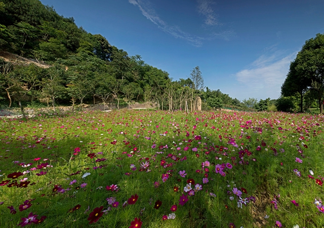 正在公示！宜宾这三个景区被省上点名！(图4)