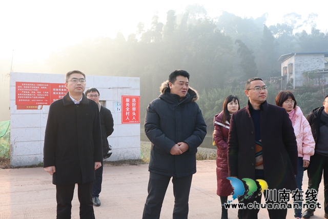陈刚到泸县云龙镇督导当前重点工作(图2)