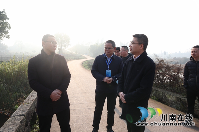 陈刚到泸县云龙镇督导当前重点工作(图5)