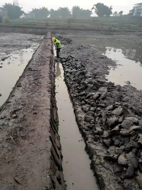 江阳区高标准农田建设加快推进 预计3月底全面完工(图2)
