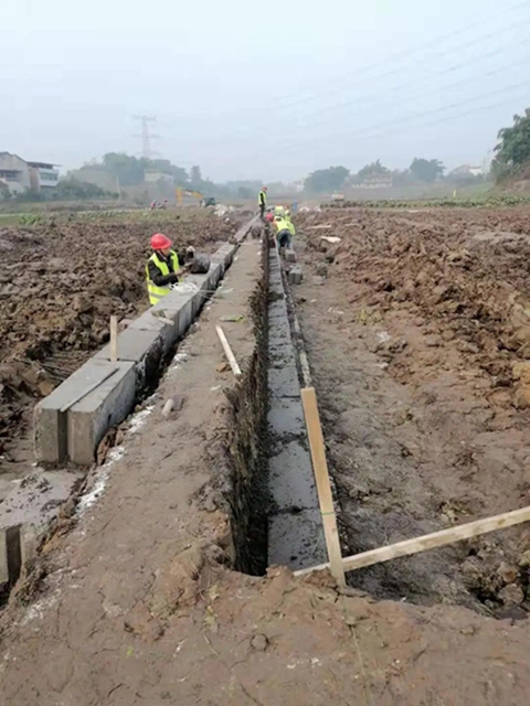 江阳区高标准农田建设加快推进 预计3月底全面完工(图4)