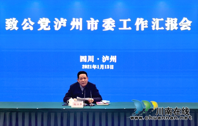 致公党四川省委会主委、副省长杨兴平听取致公党泸州市委工作汇报(图3)