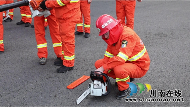 合江县：多措并举筑牢森林防火墙(图2)