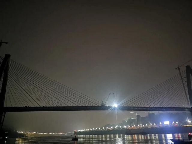 全国首创！宜宾盐坪坝长江大桥“鱼跃长江”造型很洋气！(图10)