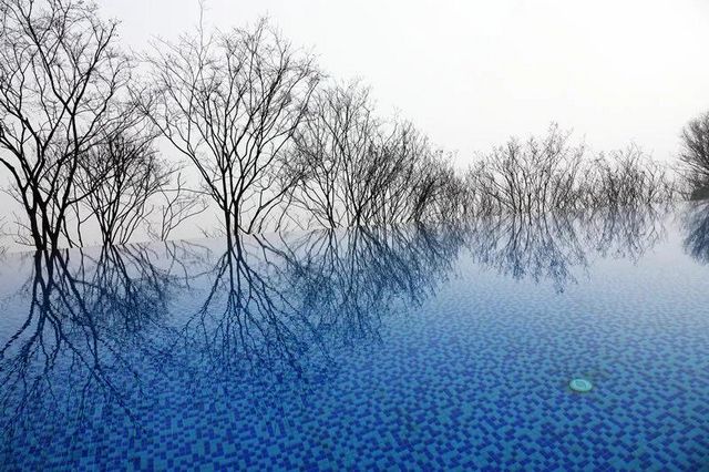 大片来袭，记录古蔺郎酒庄园的十二时辰……(图14)