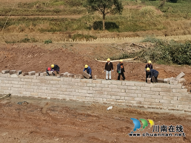 今冬明春  泸县新建高标准农田3.6万亩(图3)