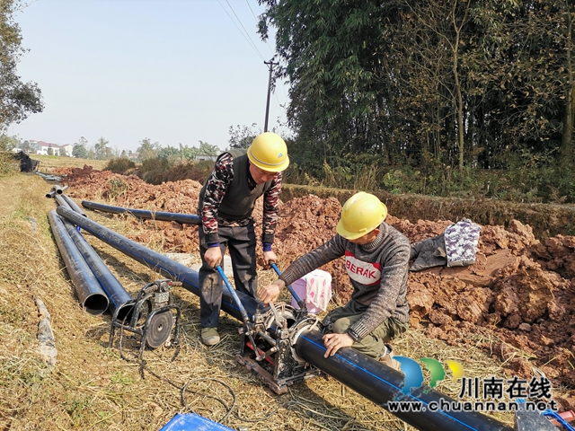 今冬明春  泸县新建高标准农田3.6万亩(图4)