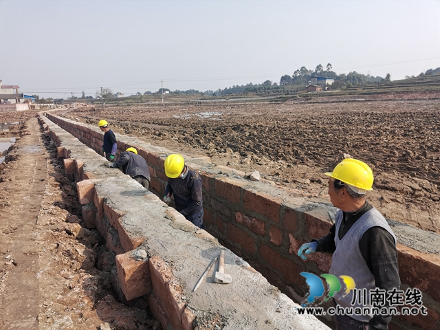 今冬明春  泸县新建高标准农田3.6万亩(图6)
