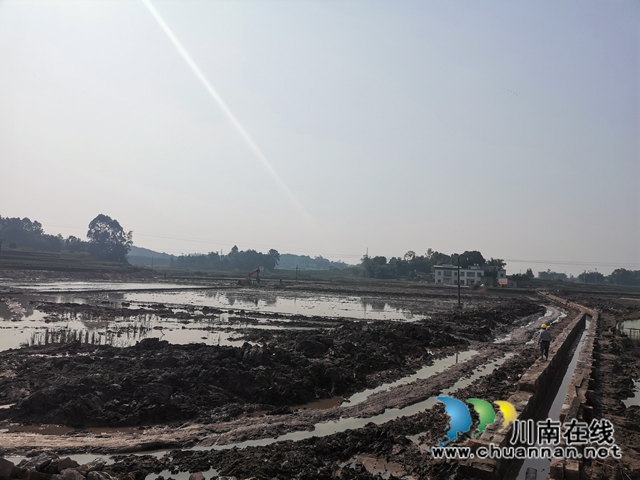 今冬明春  泸县新建高标准农田3.6万亩(图7)