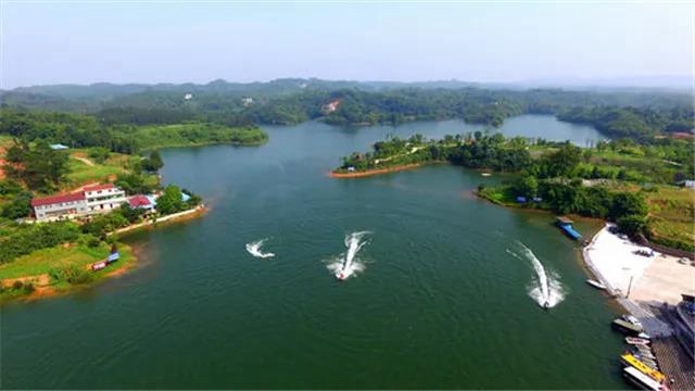 守护绿色家园！纳溪组建150余支森林防灭火队