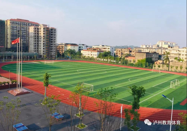 泸州市这些学校、幼儿园被命名为2020年全国青少年校园足球特色学校和足球特色幼儿园(图4)