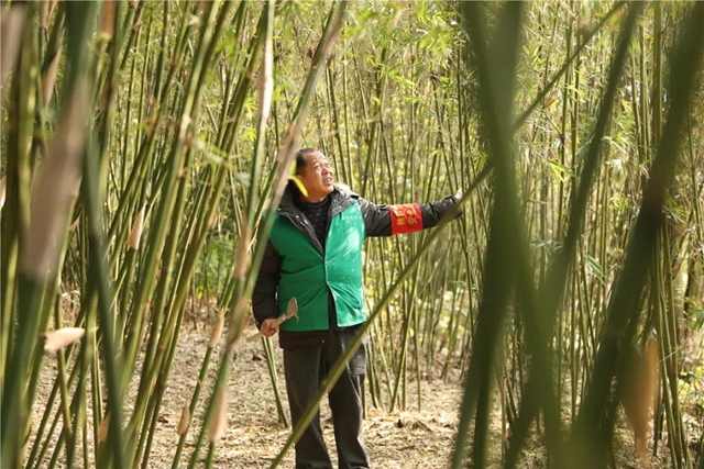 【森林防灭火】泸州纳溪：青山有人管 绿林有人护(图3)