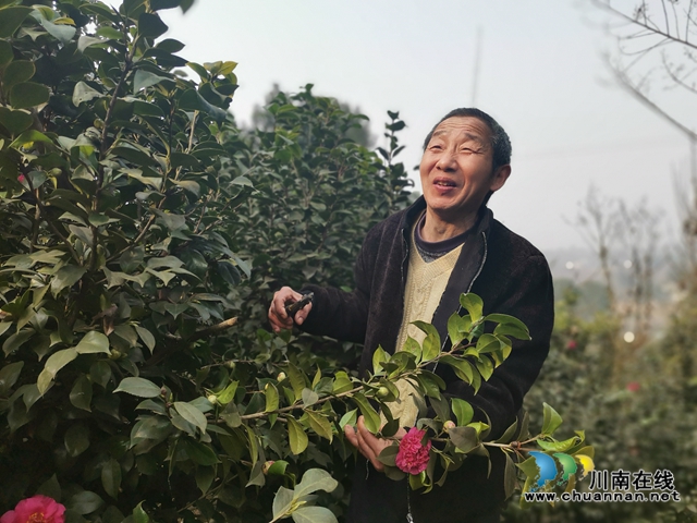 泸县毗卢镇脱贫榜样唐登元：坐在轮椅上品尝脱贫的喜悦(图4)