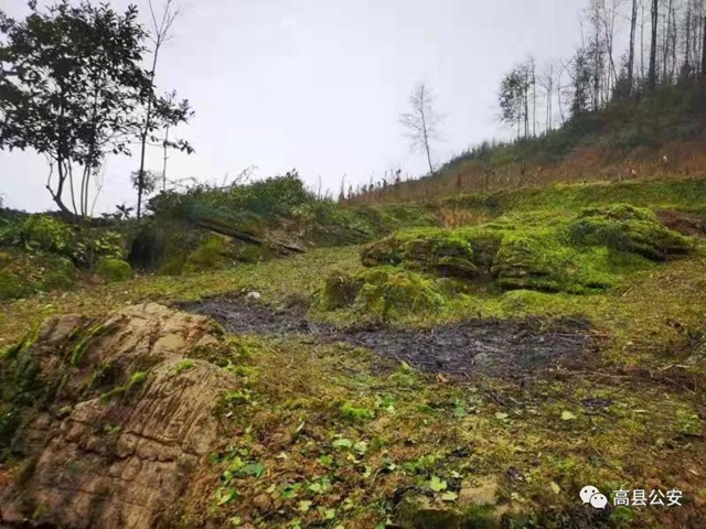 严惩！宜宾多人因烧秸秆被拘留！还有人野外吸烟被查！(图4)